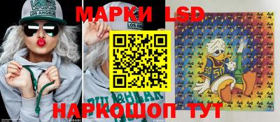 крисы Аргун