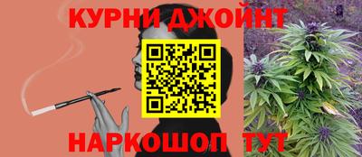 крисы Аргун