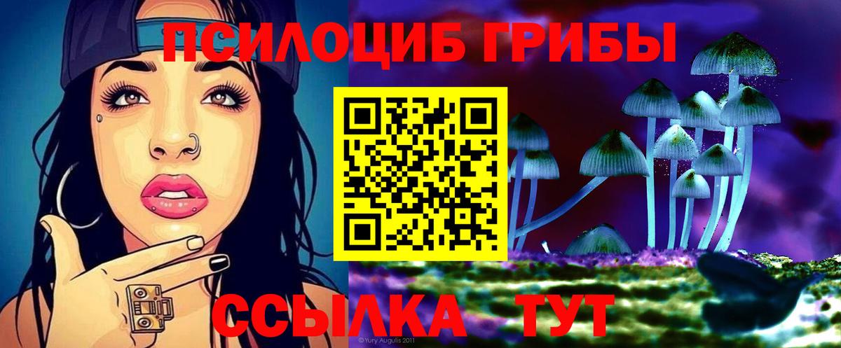 Псилоцибиновые грибы Psilocybine cubensis  Нижневартовск 