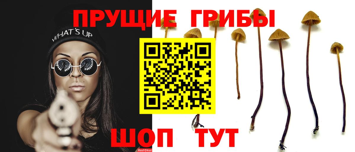Псилоцибиновые грибы GOLDEN TEACHER Нижневартовск